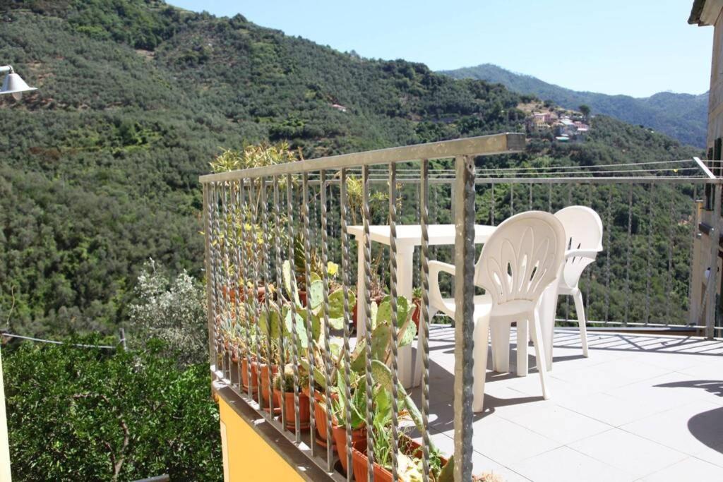 Le Case Della Lizza - Casa Verde Levanto Ngoại thất bức ảnh